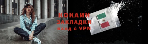 молекула духа Белокуриха