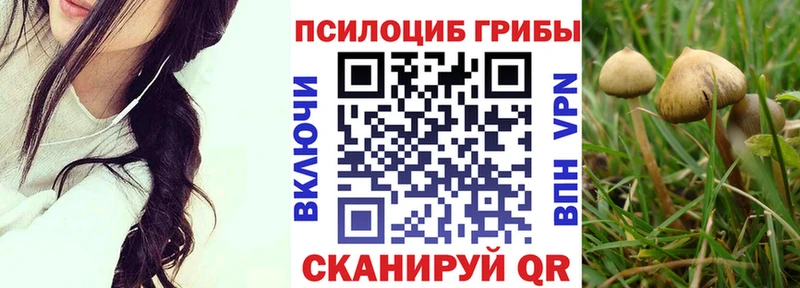 мориарти наркотические препараты  Щигры  Галлюциногенные грибы Cubensis  omg зеркало 
